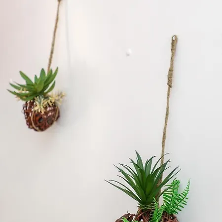 公寓 Le Provencale : Plages, Balcon, Clim *